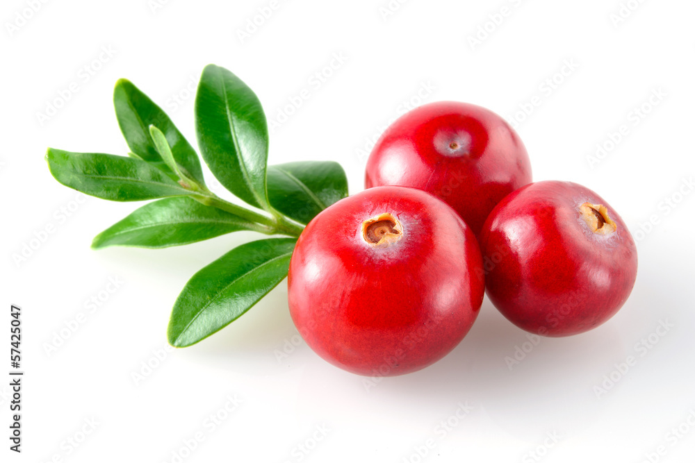 Cranberry isolated on white background