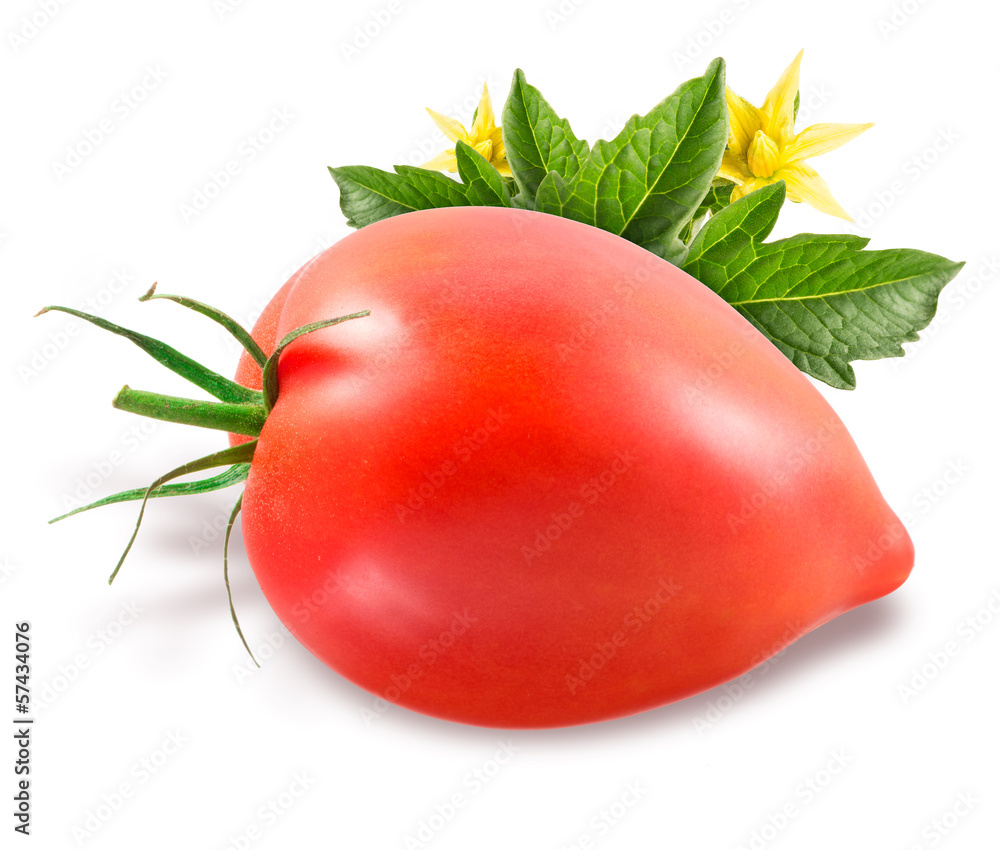 Tomato isolated on white background