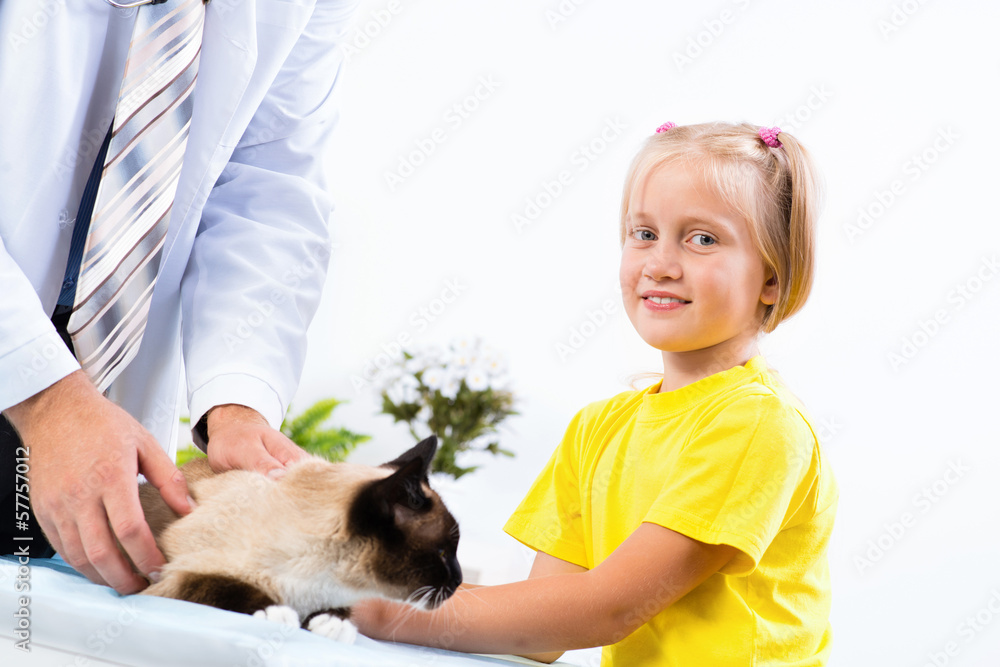 女孩把猫带到兽医那里