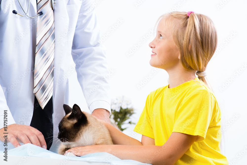 女孩把猫带到兽医那里