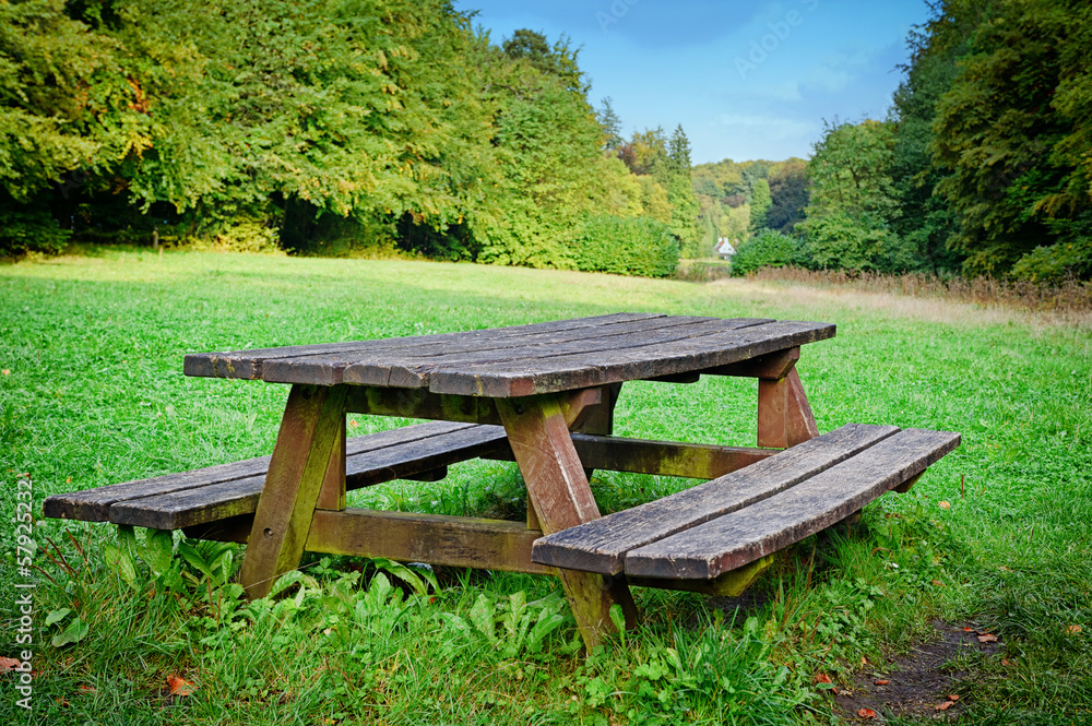 Picnic place in forest