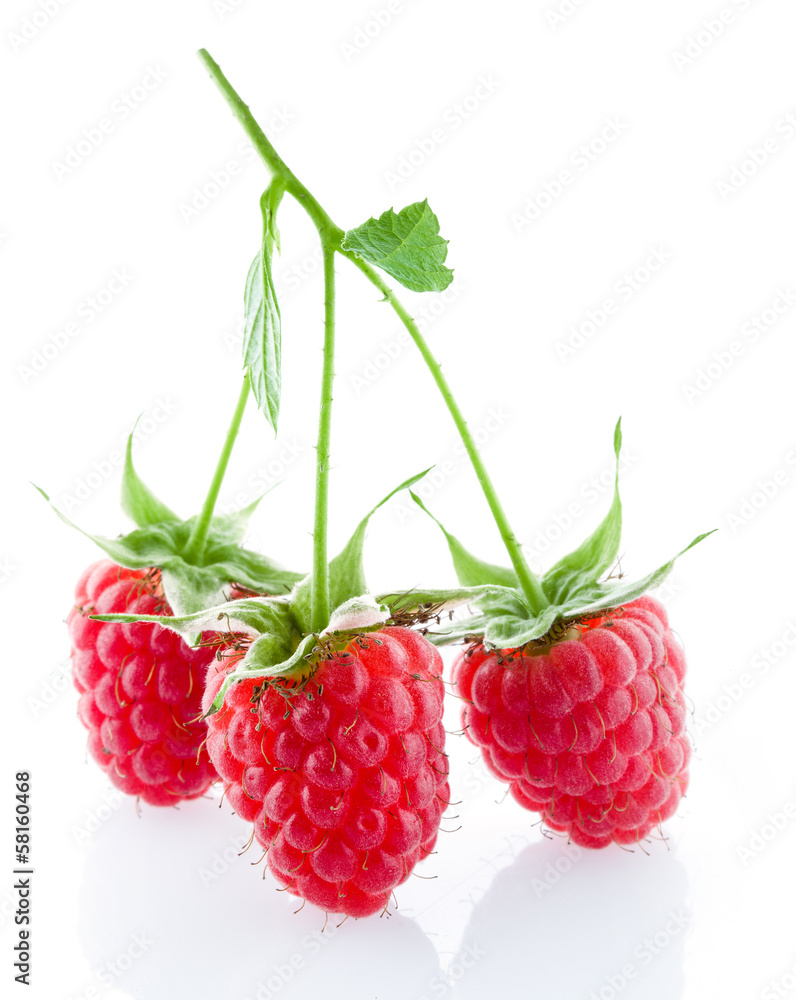 Raspberries isolated on white