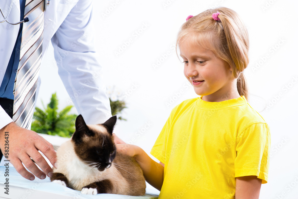 女孩把猫带到兽医那里