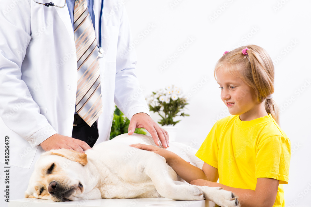 girl holds a dog in a veterinary clinic