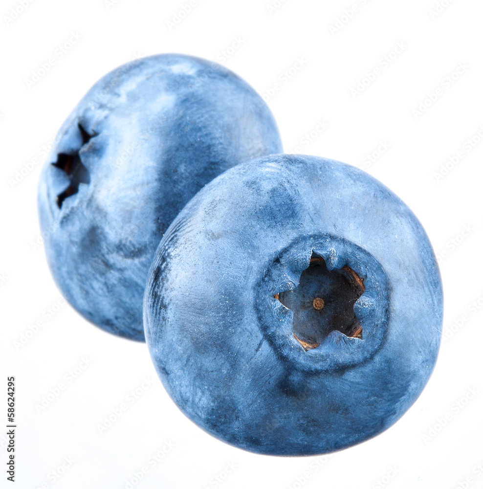 Blueberries on white background