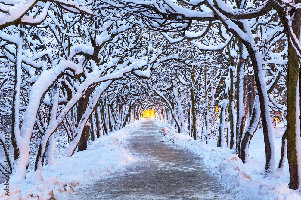 波兰格但斯克雪地公园的冬季风景