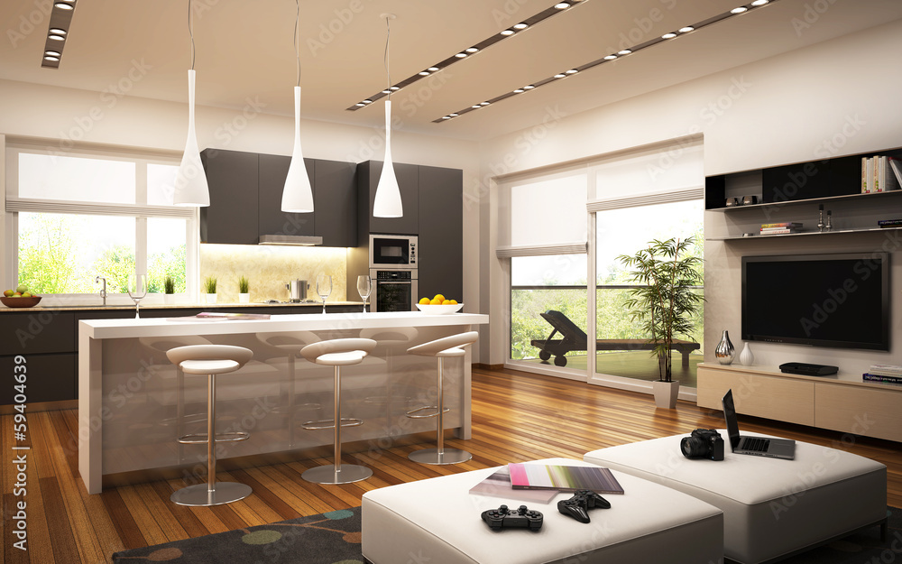 Modern kitchen and living room