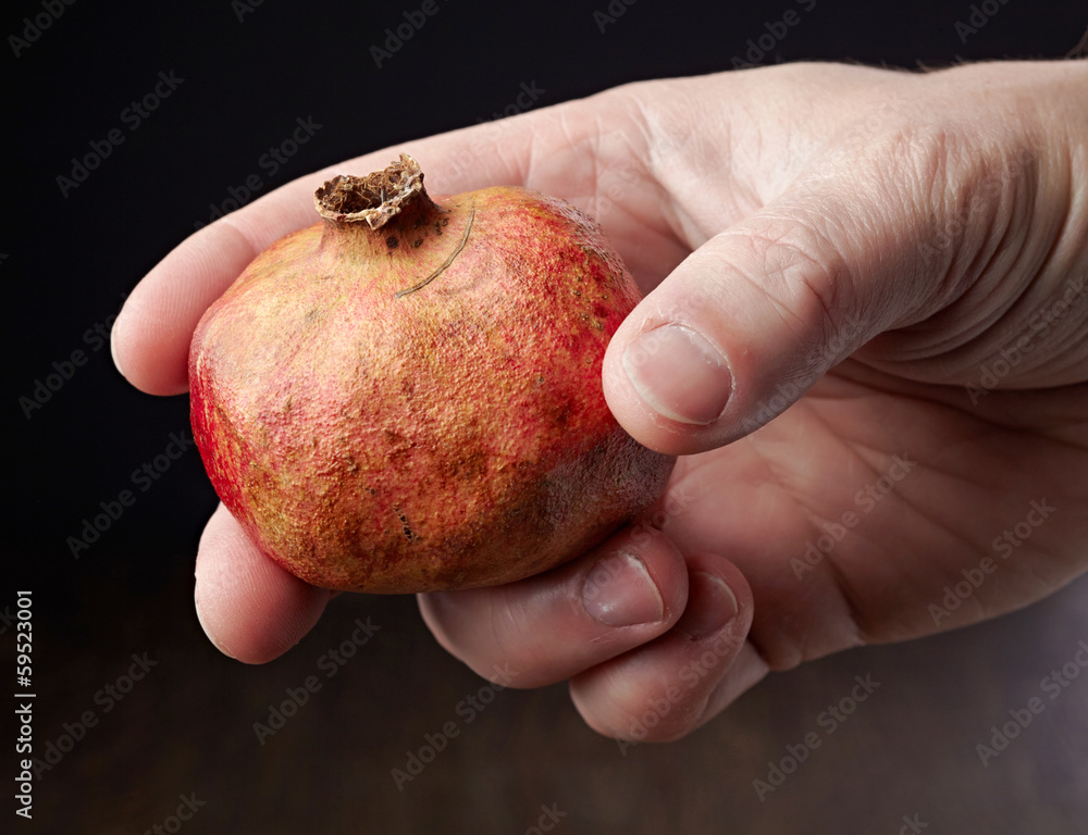 Pomegranate in a hand