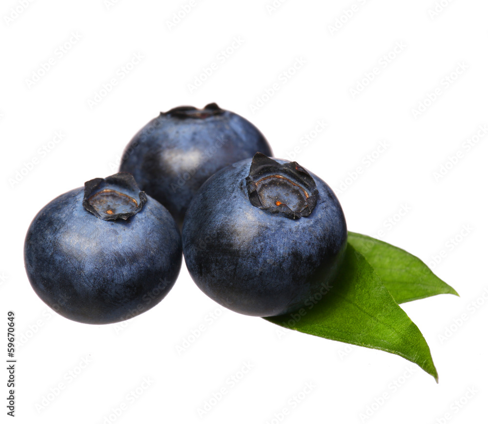 Blueberries with leaves isolated on white background