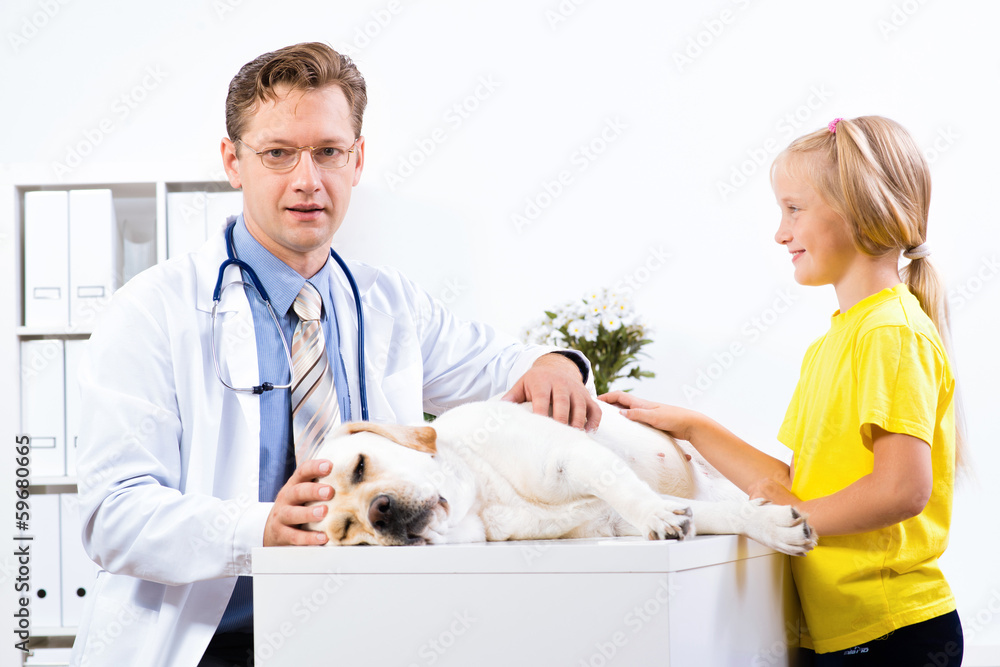 girl holds a dog in a veterinary clinic