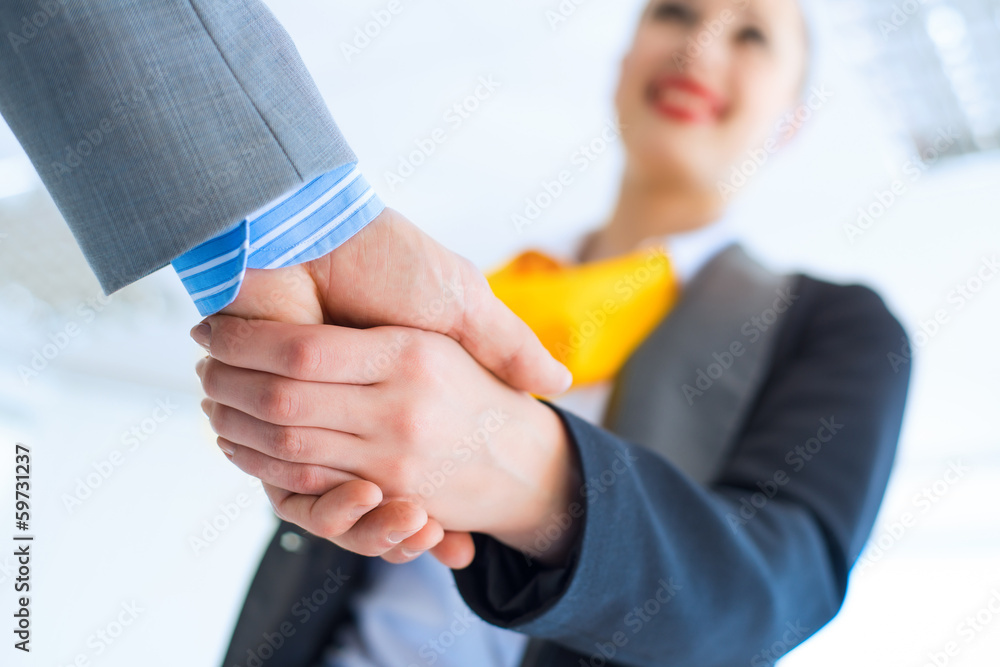 business woman shaking hands with a client