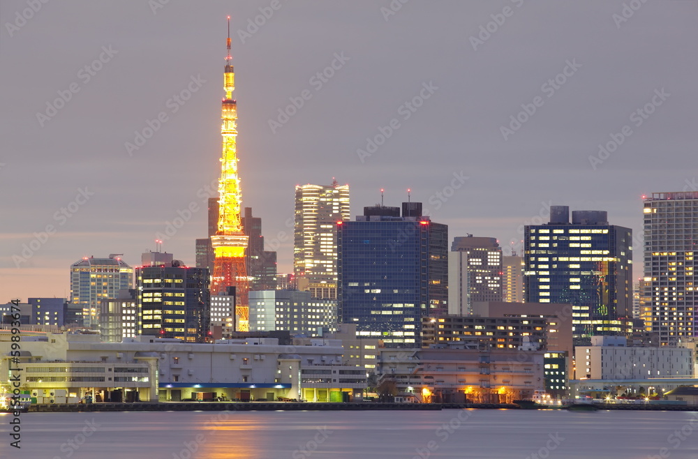 Tokyo city at twilight