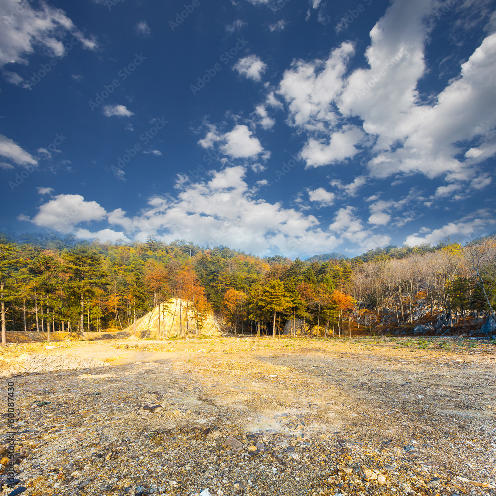 Autumnal Scenery