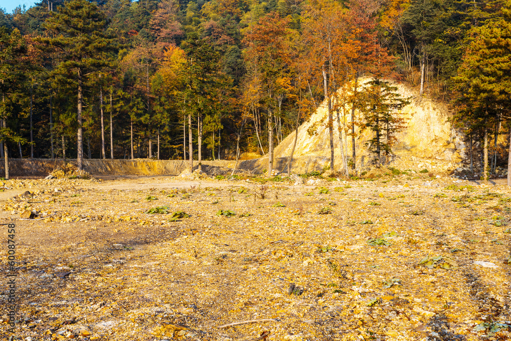 Autumnal Scenery