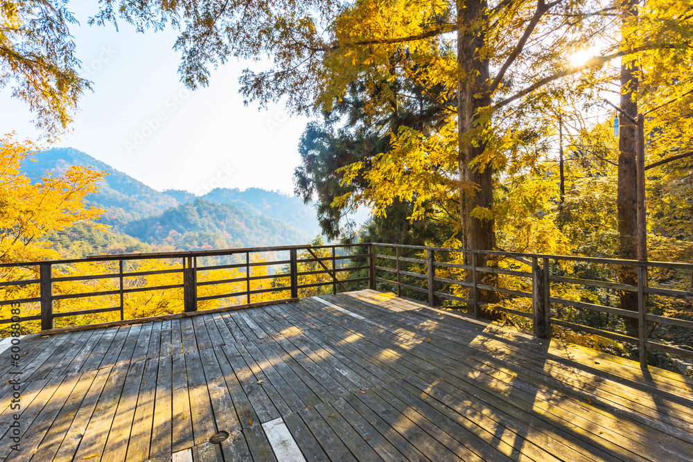 autumn landscape with wooden board