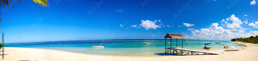 带码头和船只的热带海滩全景