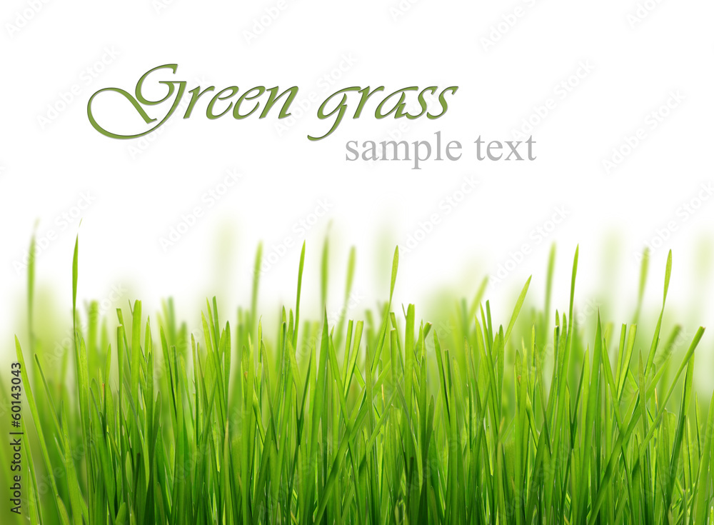 Green grass