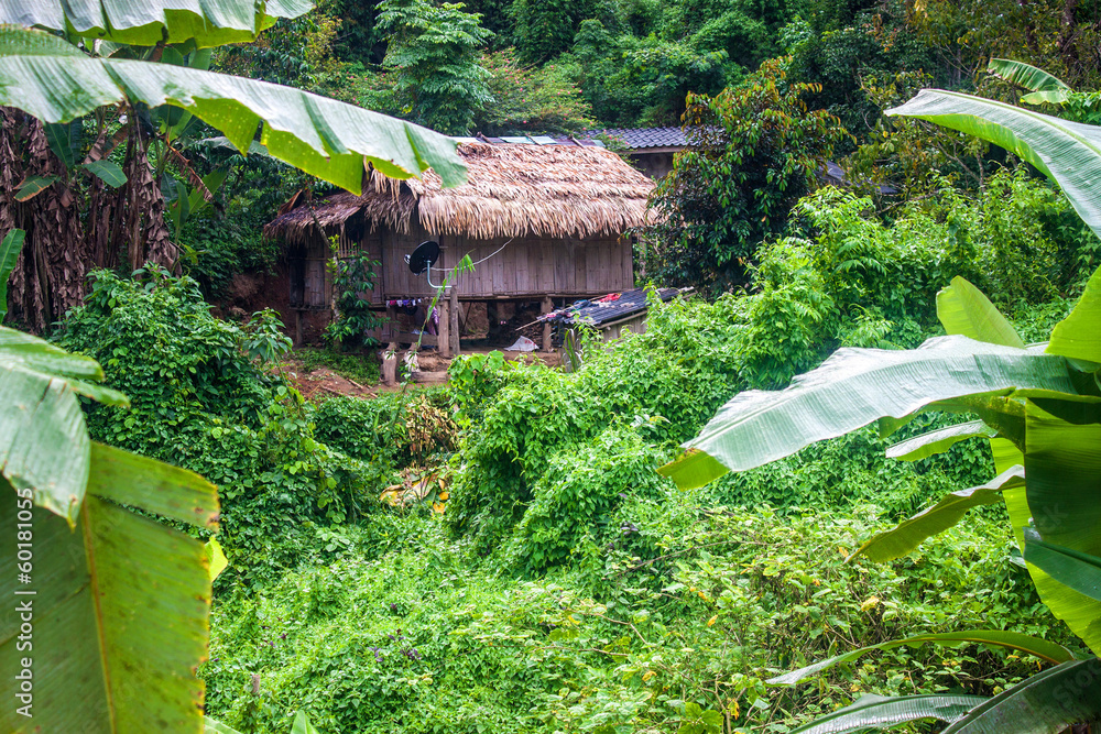 House in a jungle in northern Thailand