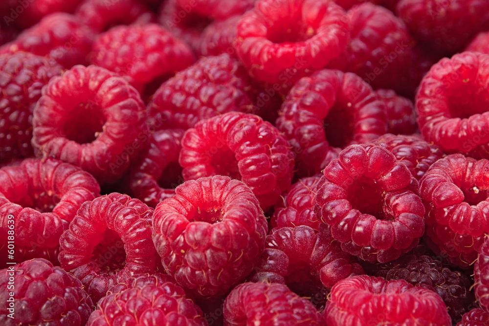 Ripe raspberry background