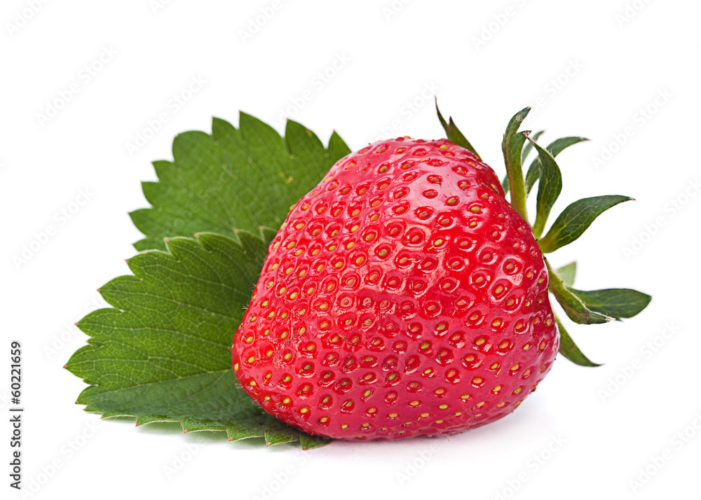 Strawberry fruit