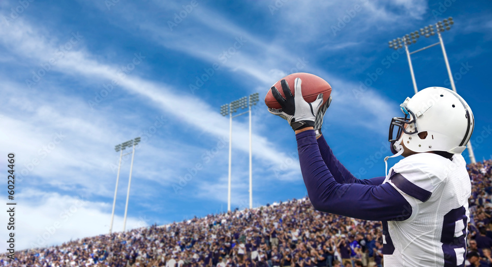 Football Player catching a Touchdown Pass