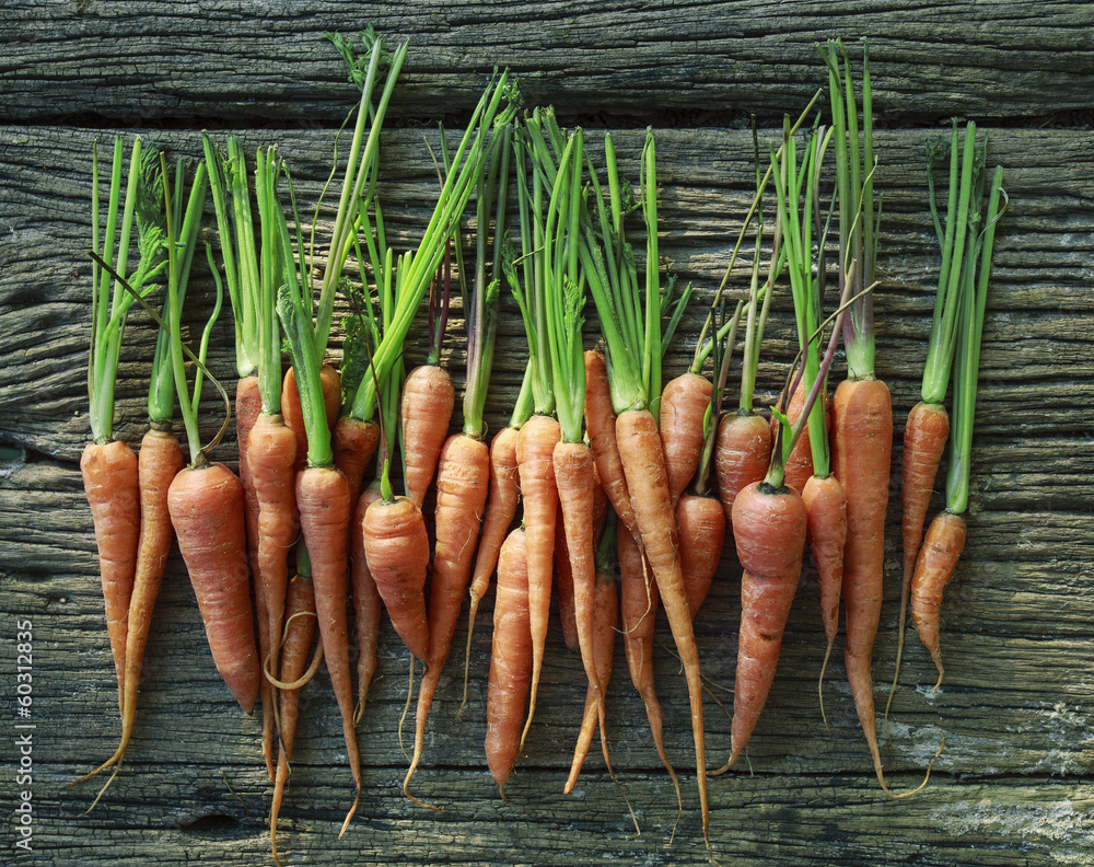 fresh carrot on wood texture