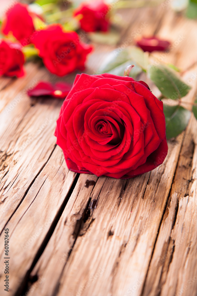 Red roses on wood