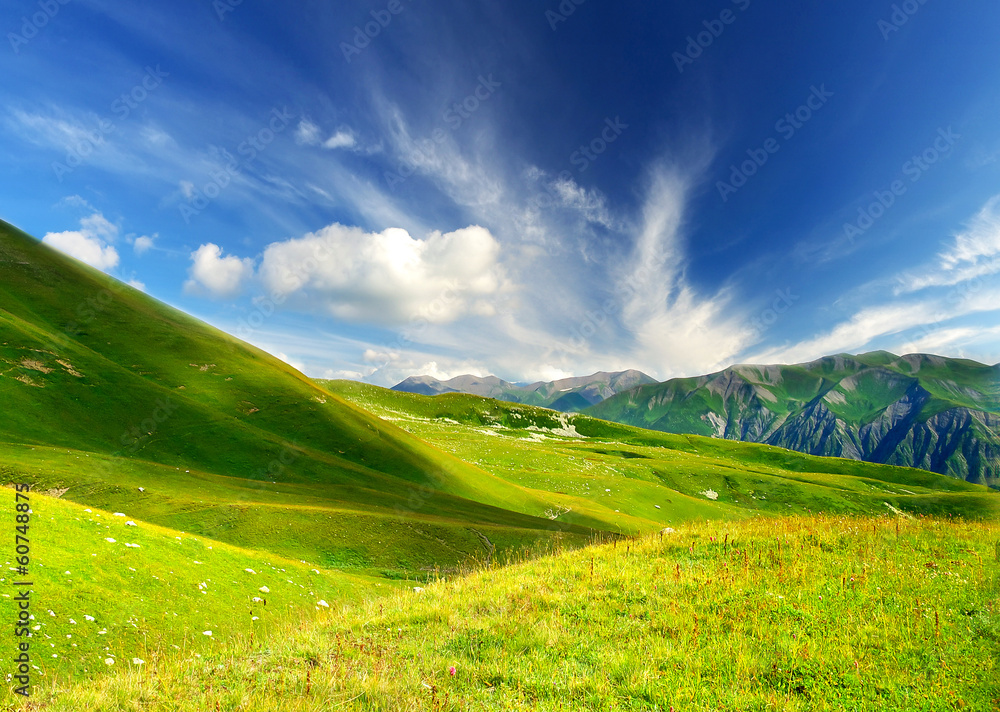 田野和多云的天空。自然的夏季景观