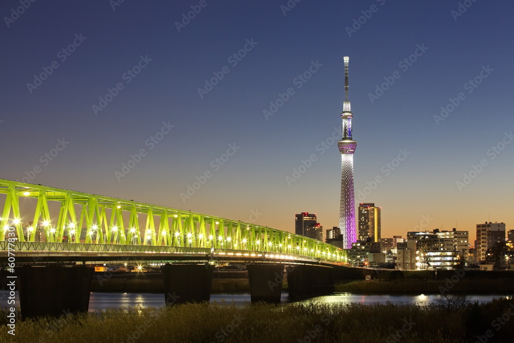 东京城市景观和东京天际线，西胡埃特天际线