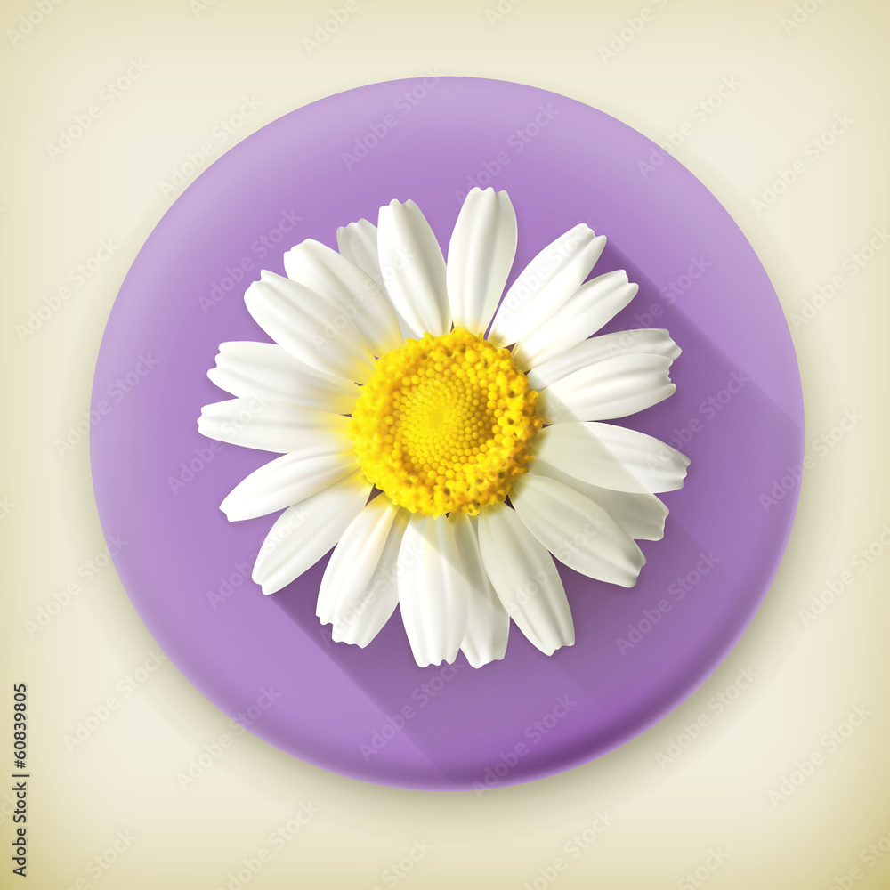 Chamomile, long shadow vector icon