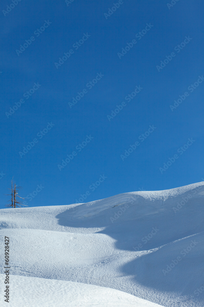 冰雪蓝天的冬季景观