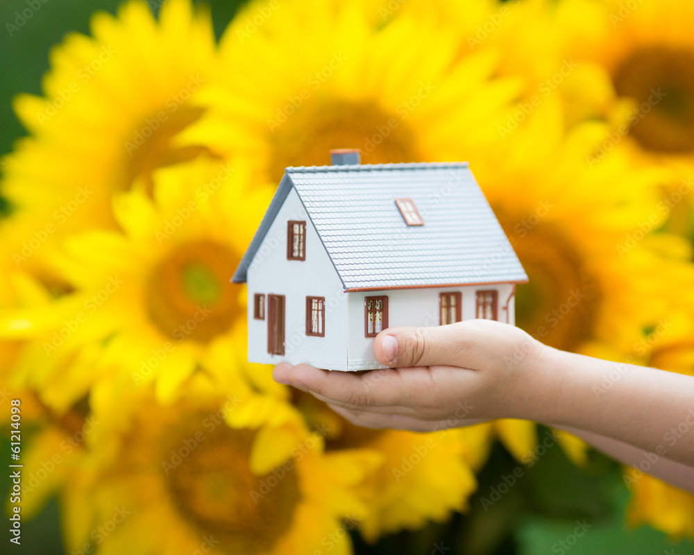 House in children`s hands