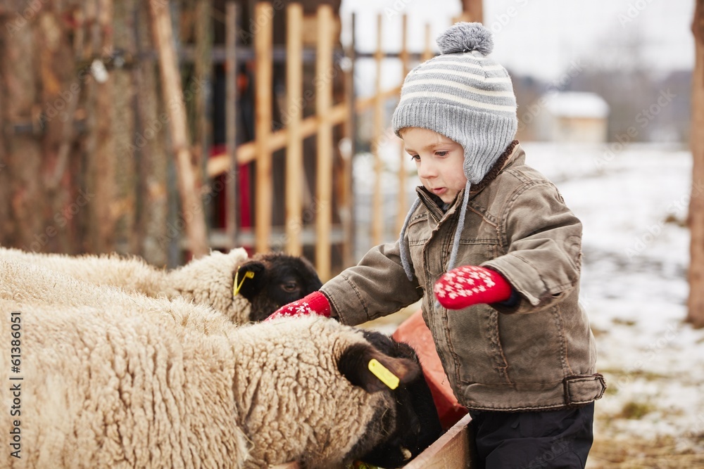 Boy on the farm