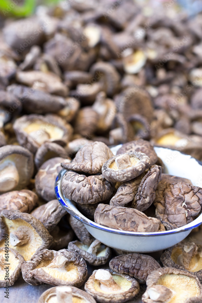 Shiitake Mushrooms