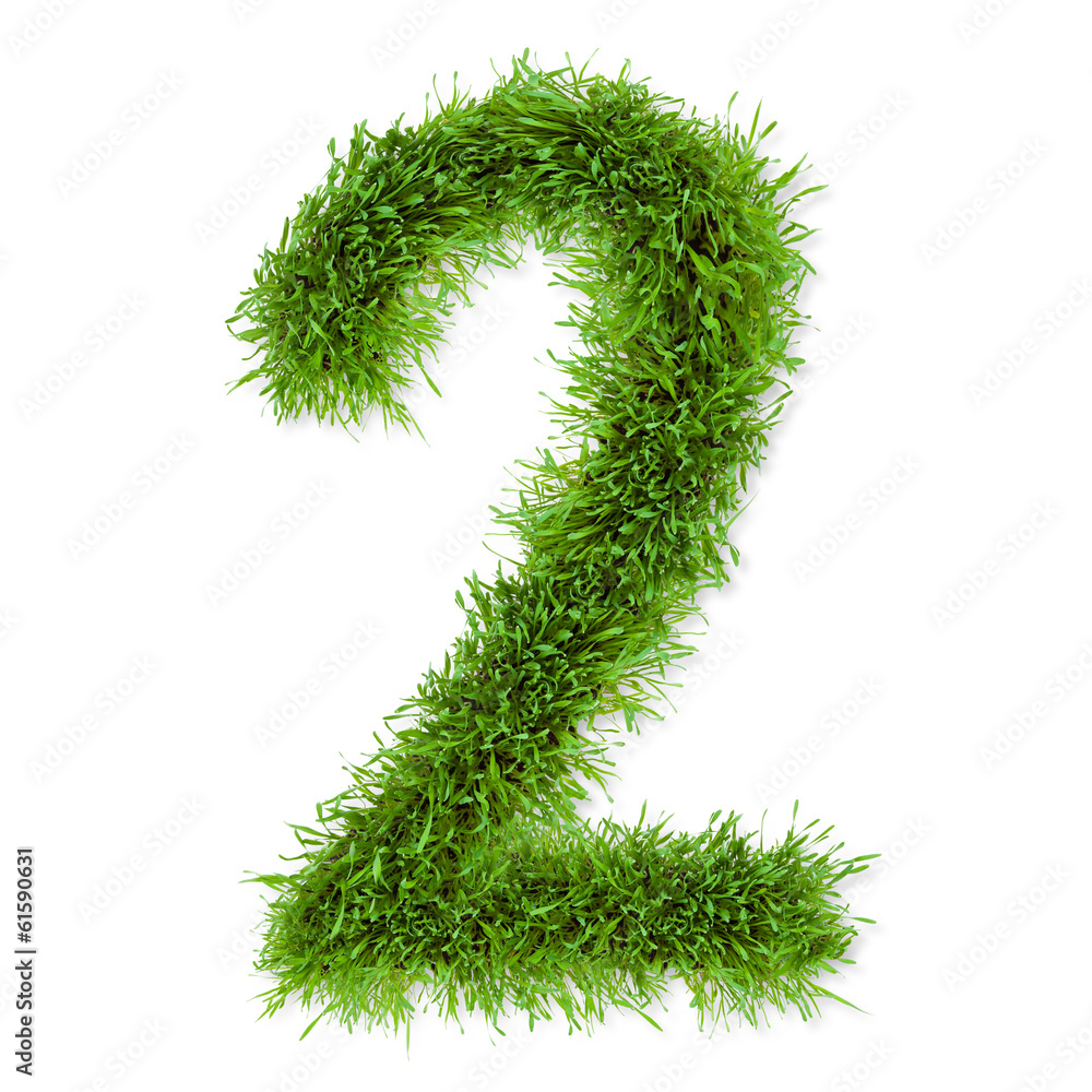 Grass number