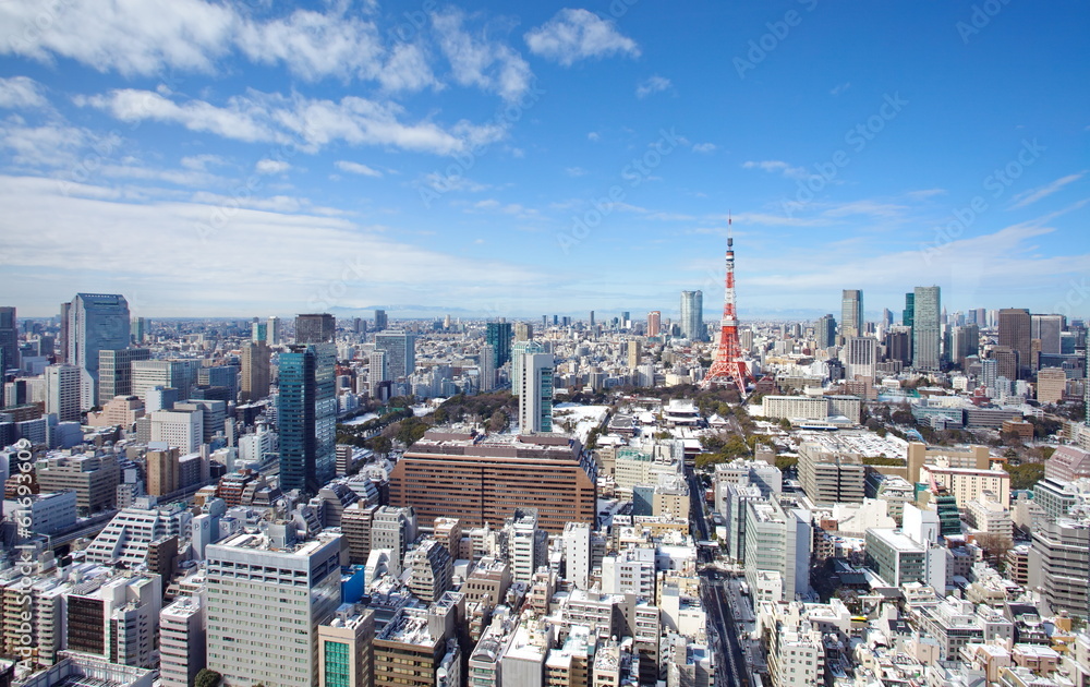 Skyline of Tokyo , Japan at Tokyo Tower