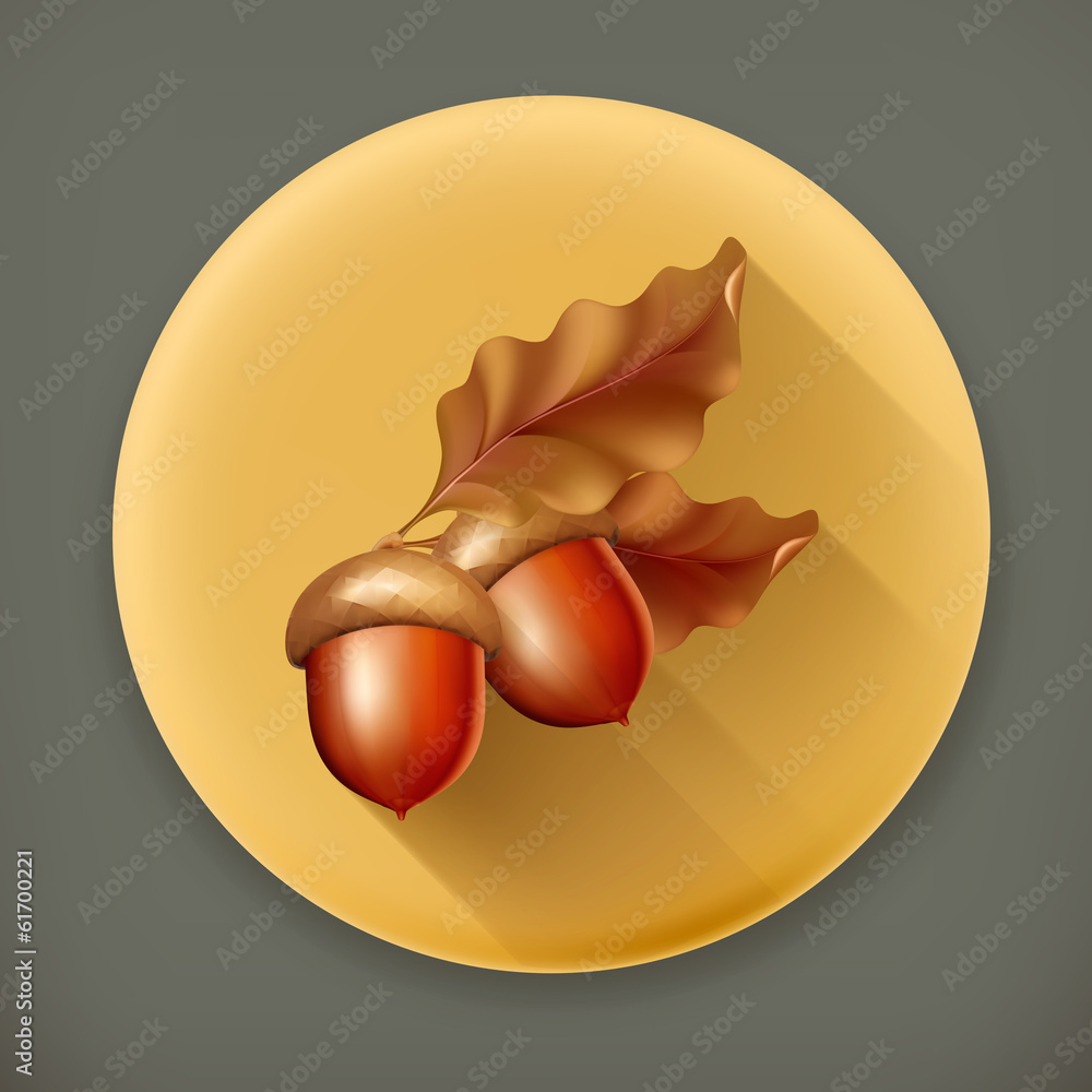 Acorns, long shadow vector icon