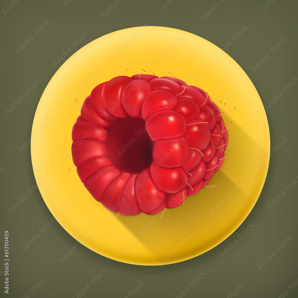 Raspberry, long shadow vector icon