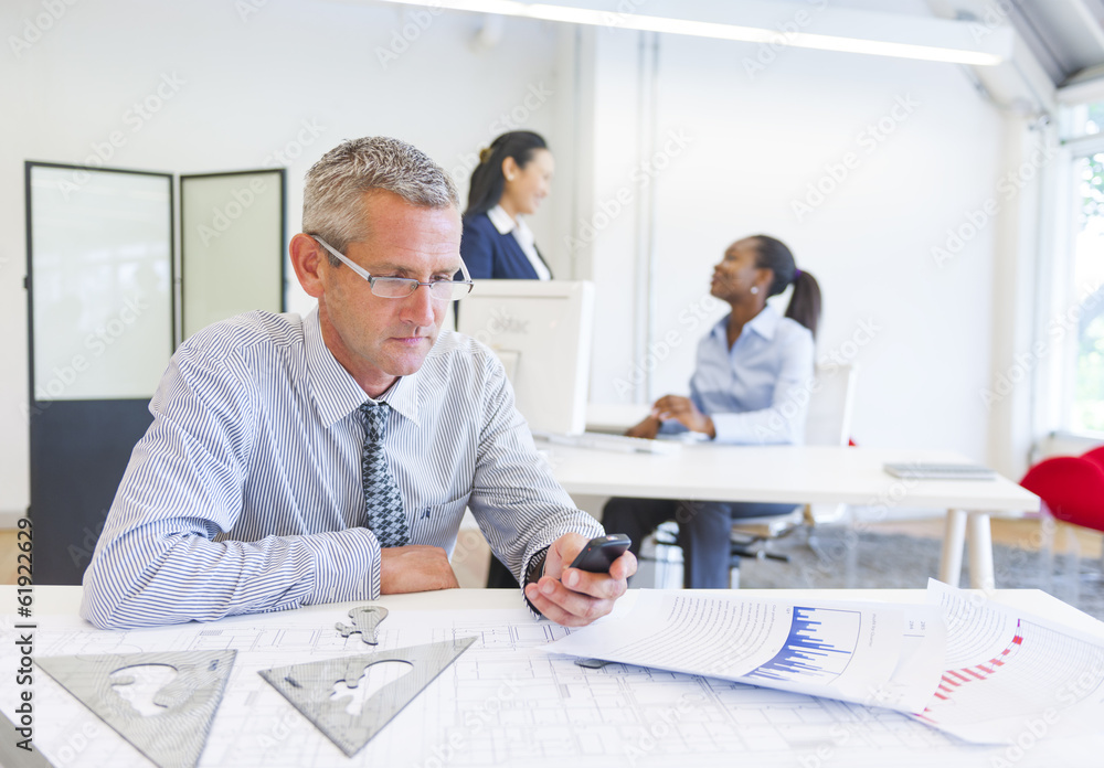 Business Man Working in the Office