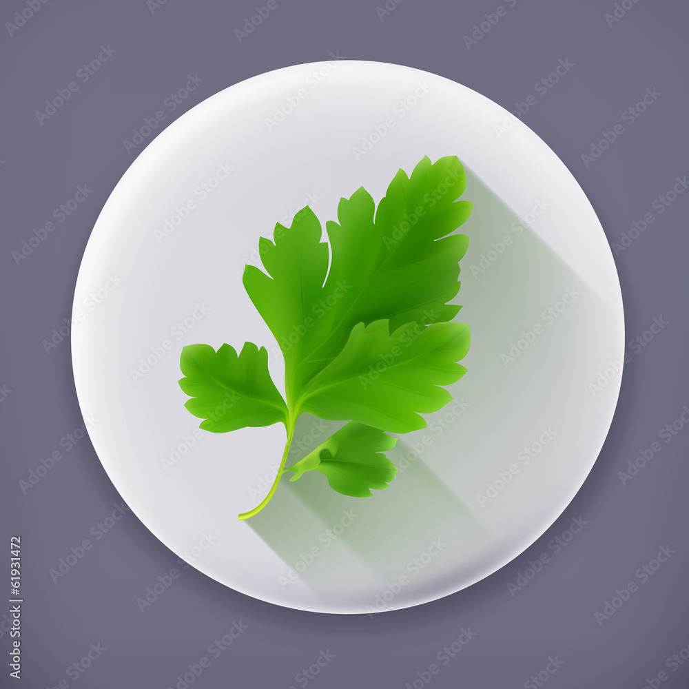 Parsley，长阴影矢量图标