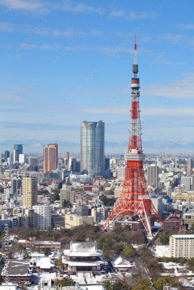 view of tokyo city and tokyo tower at nice daytime