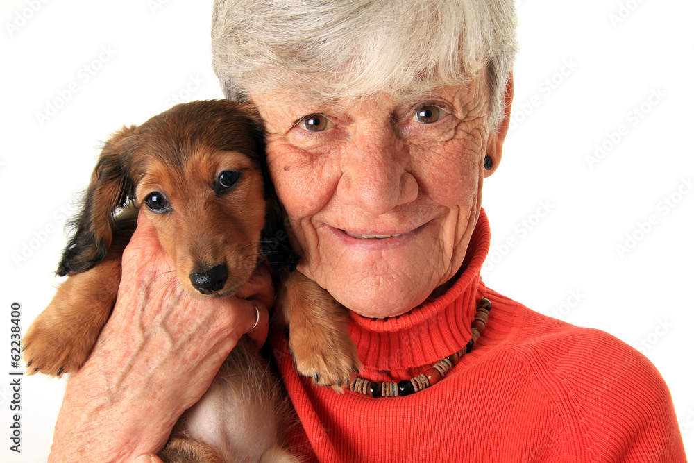 女人和达克斯猎犬小狗