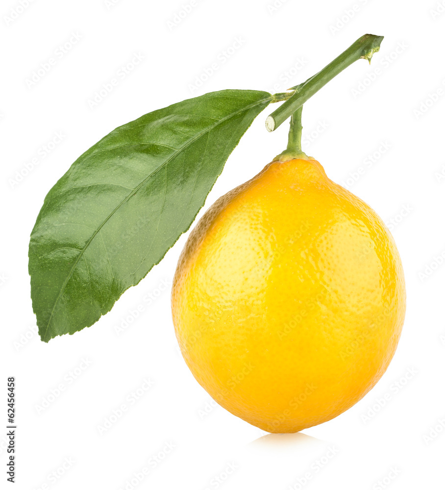 fresh lemon