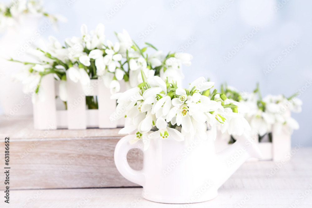 浅色背景下美丽的雪花莲