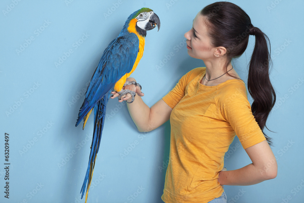 Macaw