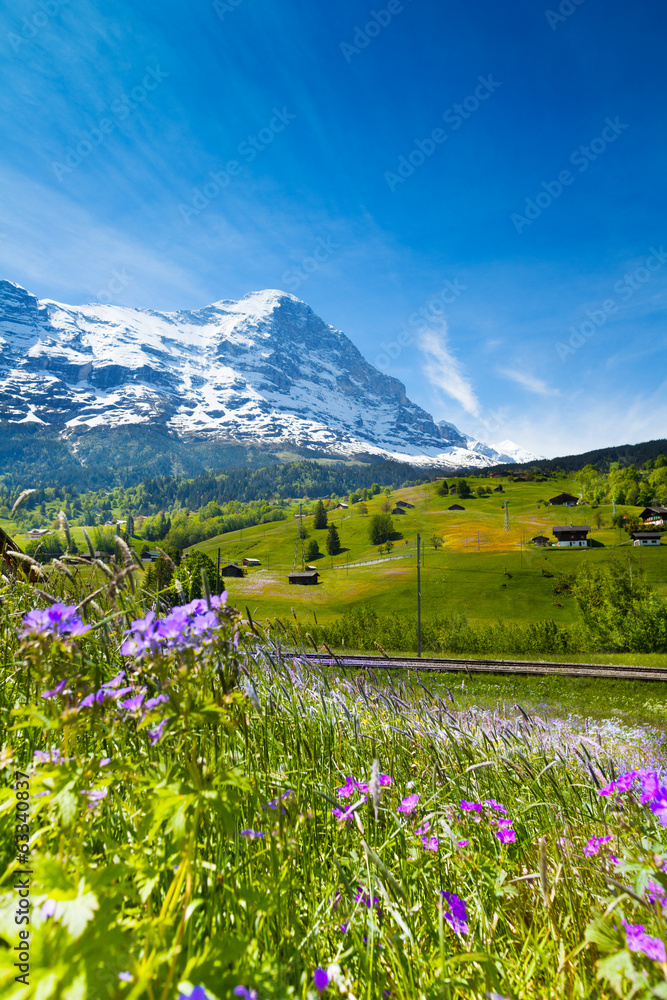 Blooming flowers with beautiful Swiss landscape