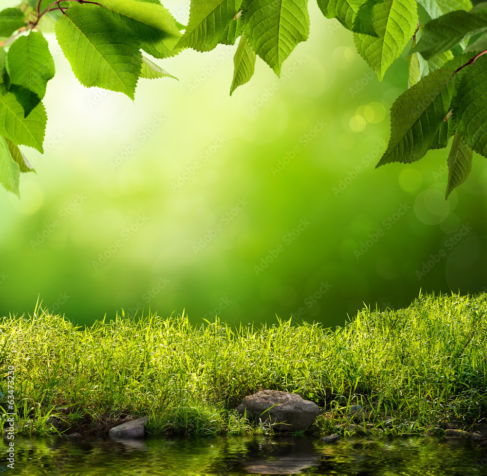 Grüne Natur als Hintergrund