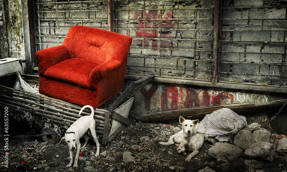 Abandoned Couch in Manila