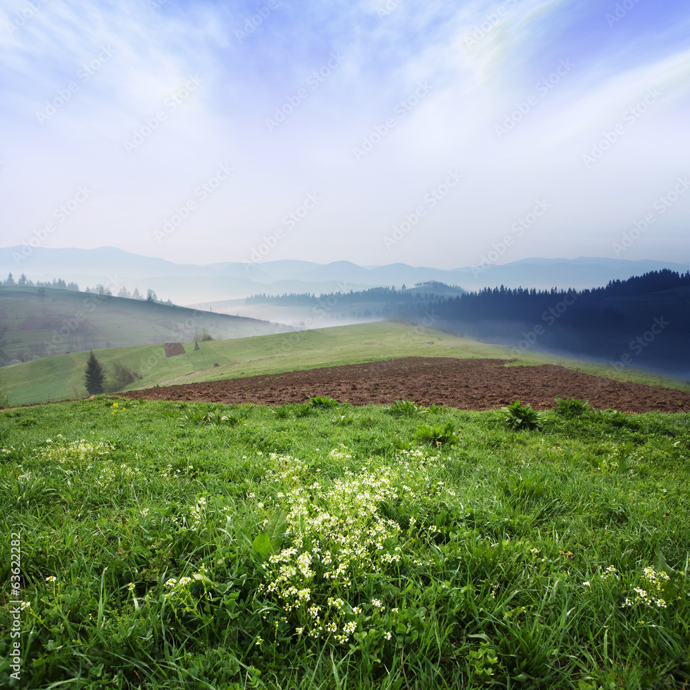 Morning in mountains