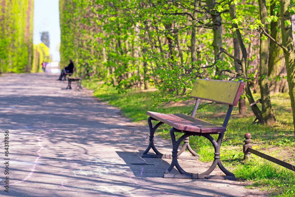 Beautiful alley in the green spring park